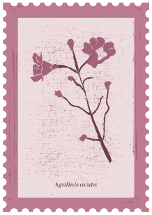 Stamp 3